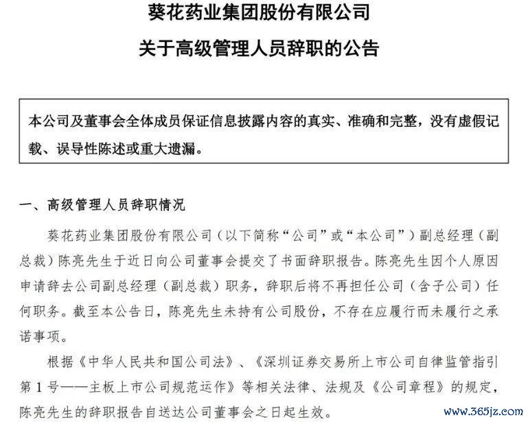 信息开首：公司公告